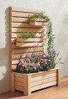 Aktuelle Blumentopf Angebote bei Holz Braun in Reutlingen Aktuelles Blumenkasten „Bali“ Lärche mit Rhombussichtschutz Angebot bei Holz Braun in Reutlingen ab 19,95 €