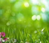 UHD OLED TV S85F Serie im Angebot bei expert in Karlstadt UHD OLED TV S85F Serie Angebote von Samsung bei expert Karlstadt für 619,00 €