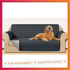 Protection canape reversible - B&M à Étampes Protection canape reversible en promo chez B&M Étampes à 10,00 €