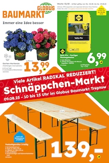 Aktueller Globus-Baumarkt Prospekt "Immer eine Idee besser" Seite 1 von 16 Seiten für Berlin