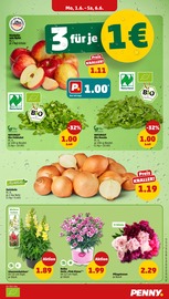 Kissen im Penny Prospekt in Saarbrücken Aktueller Penny Prospekt mit Kissen, "Wer günstig will, muss Penny.", Seite 3