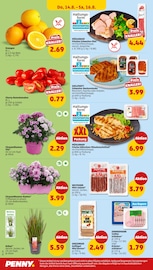 Aktueller Penny Prospekt mit Schweinefilet, "Wer günstig will, muss Penny.", Seite 28