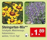 Steingarten-Mix für 1,89 € bei Zimmermann im Angebot Steingarten-Mix im aktuellen Zimmermann Prospekt