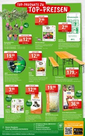 Ähnliche Angebote wie Profilholz im Prospekt "Muttertag - Zeit für Dich!" auf Seite 8 von ZG Raiffeisen in Freiburg