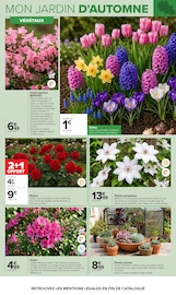 Promos Plantes dans le catalogue "JARDIN" de Carrefour Plantes en promo dans le catalogue Carrefour à la page 4