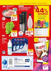 Kaffeebohnen im Netto Marken-Discount Prospekt in Rosenheim Aktueller Netto Marken-Discount Prospekt mit Kaffeebohnen, "Aktuelle Angebote", Seite 49