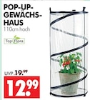 POP-UP-GEWÄCHS-HAUS Angebote von Top Flora bei Wreesmann Stendal für 12,99 €