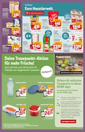 Ähnliche Angebote wie Brotdose im Prospekt "Dein Markt" auf Seite 29 von REWE in Offenbach