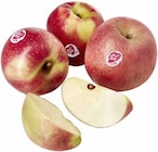 Pink Lady Äpfel bei E center im Dahn Prospekt für 3,99 €