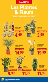 Plantes Angebote im Prospekt "Moins Cher !" von Lidl auf Seite 28