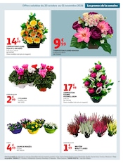 Promos Orchidée dans le catalogue "BIEN AU CHAUD" de Auchan Hypermarché Orchidée en promo dans le catalogue Auchan Hypermarché à la page 47