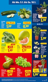 Pflanzen im aktuellen Lidl Prospekt (Oberhausen) Pflanzen im Lidl Prospekt "LIDL LOHNT SICH" mit 61 Seiten (Oberhausen)