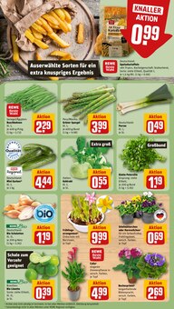 Pflanzen im aktuellen REWE Prospekt (Augsburg) Pflanzen im REWE Prospekt "Dein Markt" mit 32 Seiten (Augsburg)