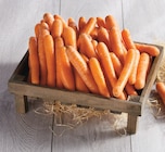 Intermarché Super Roumégoux - Promo Carotte Promo Carotte à 1,29 € dans le catalogue Intermarché Super à Roumégoux