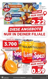 Bier im Kaufland Prospekt in Waldshut-Tiengen Aktueller Kaufland Prospekt mit Bier, "Aktuelle Angebote", Seite 9