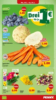 Narzissen im Penny Prospekt "Wer günstig will, muss Penny." mit 40 Seiten (Dortmund)