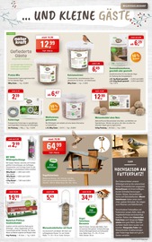 Aktueller ZG Raiffeisen Prospekt mit Sonnenblumenkerne, "ZAUBERHAFTE ADVENTSZEIT", Seite 7