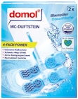 WC-Duftstein 4-fach Power von Domol für 0,99 € bei Rossmann im Angebot WC-Duftstein 4-fach Power von Domol im aktuellen Rossmann Prospekt