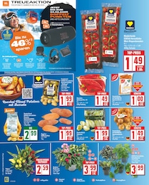 Blumen Angebot im aktuellen EDEKA Prospekt auf Seite 6