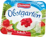 Netto Marken-Discount - Joghurt auf Frucht Angebot im Prospekt Joghurt auf Frucht bei Netto Marken-Discount im Prospekt "" für 0,49 €