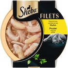 Aktuelles Katzennassfutter Filets Angebot bei REWE in Recklinghausen ab 1,11 €
