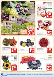 Aktueller Marktkauf Prospekt mit Blumen, "Top Angebote", Seite 6