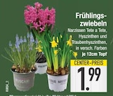 Frühlingszwiebeln im aktuellen EDEKA Prospekt für 1,99 €