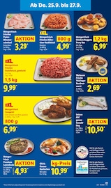 Aktueller Lidl Prospekt mit Box, "LIDL LOHNT SICH", Seite 55