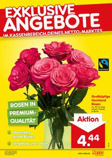 Pflanzen im aktuellen Netto Marken-Discount Prospekt (Bochum) Pflanzen im Netto Marken-Discount Prospekt "Aktuelle Angebote" mit 70 Seiten (Bochum)