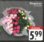 Angebot im EDEKA Rheda-Wiedenbrück Prospekt EDEKA Rheda-Wiedenbrück Prospekt mit im Angebot für 5,99 €