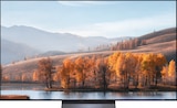 OLED TV OLED77C69LB bei expert im Amberg Prospekt für 2.199,00 €