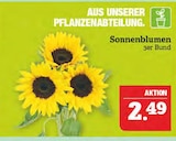 Sonnenblumen im Angebot bei Marktkauf in Leipzig Sonnenblumen Angebote bei Marktkauf Leipzig für 2,49 €