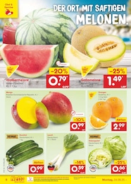 Netto Marken-Discount Lauch im Prospekt 