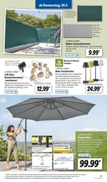 Sonnenschirm Angebot im aktuellen Lidl Prospekt auf Seite 43