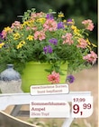 Sommerblumen-Ampel bei Garten-Center Nordharz GmbH & Co. KG im Prospekt "" für 9,99 €