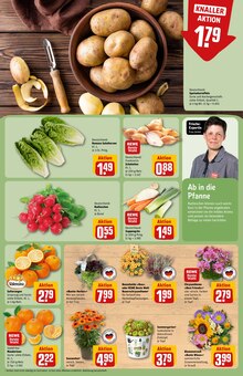 Pflanzen im aktuellen REWE Prospekt (Jena) Pflanzen im REWE Prospekt "Dein Markt" mit 30 Seiten (Jena)