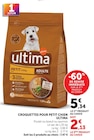 Croquettes pour petit chien - ULTIMA - U Express à Reims Croquettes pour petit chien - ULTIMA en promo chez U Express Reims à 2,13 €