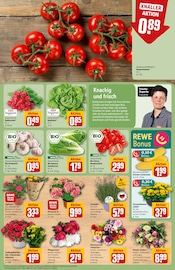 Blumen im REWE Prospekt in Leinfelden-Echterdingen Aktueller REWE Prospekt mit Blumen, "Dein Markt", Seite 7
