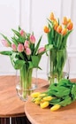 Promo 10 Tulipes à 3,67 € dans le catalogue U Express à Vandœuvre-lès-Nancy
