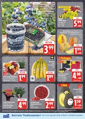 Blumen im EDEKA Prospekt in Hamburg Aktueller EDEKA Prospekt mit Blumen, "Top Angebote", Seite 6