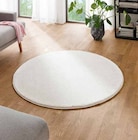 Teppich Pace im Segmüller Prospekt Teppich Pace  im aktuellen Segmüller Prospekt für 99,99 €