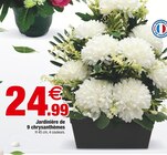 Jardinière de 9 chrysanthèmes - Bazarland à Nancy Jardinière de 9 chrysanthèmes en promo chez Bazarland Nancy à 24,99 €