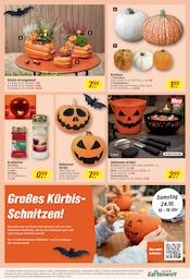 Aktueller toom Baumarkt Prospekt mit Grabpflege, "Respekt, wer's selber macht.", Seite 3