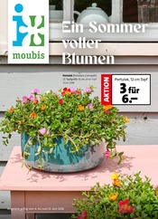 Pflanzen im Moubis Pflanzenhof Prospekt in Osnabrück Aktueller Moubis Pflanzenhof Prospekt mit Pflanzen, "Ein Sommer voller Blumen", Seite 1