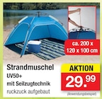 Strandmuschel im Angebot bei Zimmermann in Goslar Strandmuschel Angebote bei Zimmermann Goslar für 29,99 €