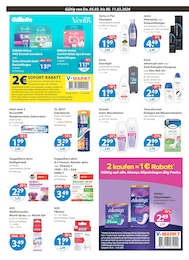 Koerperpflege im V-Markt Prospekt "V-Markt einfach besser einkaufen" auf Seite 10