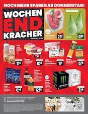 Aktueller famila Nordost Prospekt mit Lamm, "besser als gut!", Seite 24