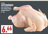Marktkauf Ratingen - Frische Suppenhühner Angebot im Prospekt Frische Suppenhühner bei Marktkauf im Ratingen Prospekt für 6,66 €