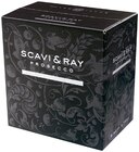 Aktuelle Prosecco Angebote bei Metro in Duisburg Aktuelles Scavi & Ray Angebot bei Metro in Duisburg ab 5,94 €