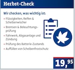 AUTOPLUS Salzgitter - Herbst-Check Angebot im Prospekt Herbst-Check bei AUTOPLUS im Salzgitter Prospekt für 19,95 €